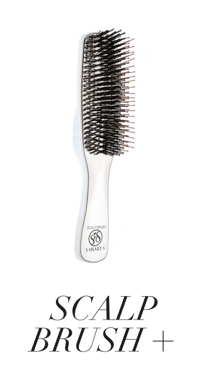 Scalp Brush +